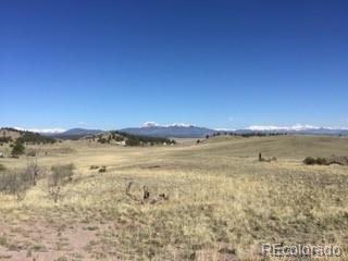 443 Saddle Horn Road