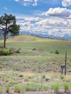 443 Saddle Horn Road