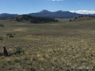 443 Saddle Horn Road
