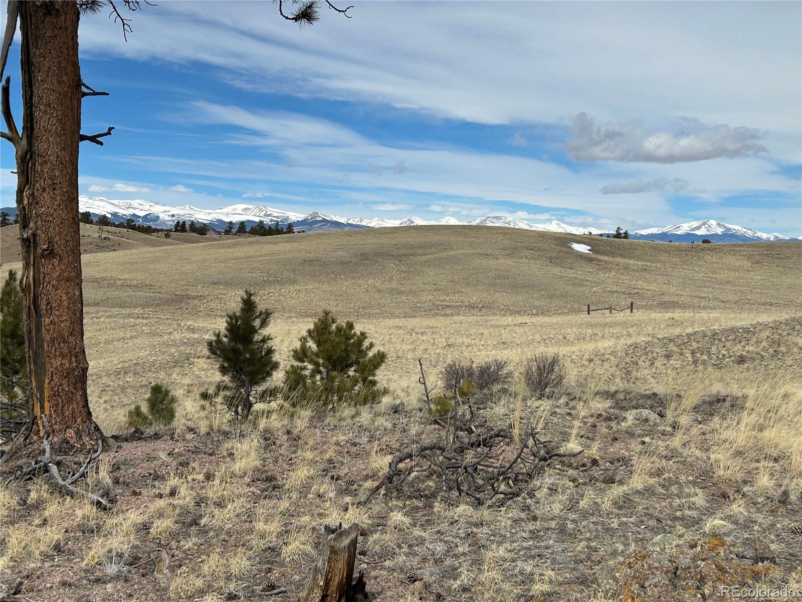 443 Saddle Horn Road
