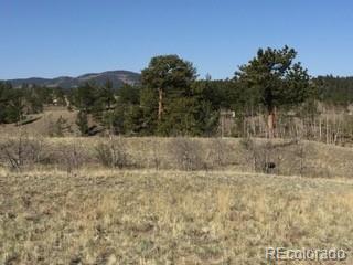 443 Saddle Horn Road