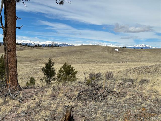 443 Saddle Horn Road