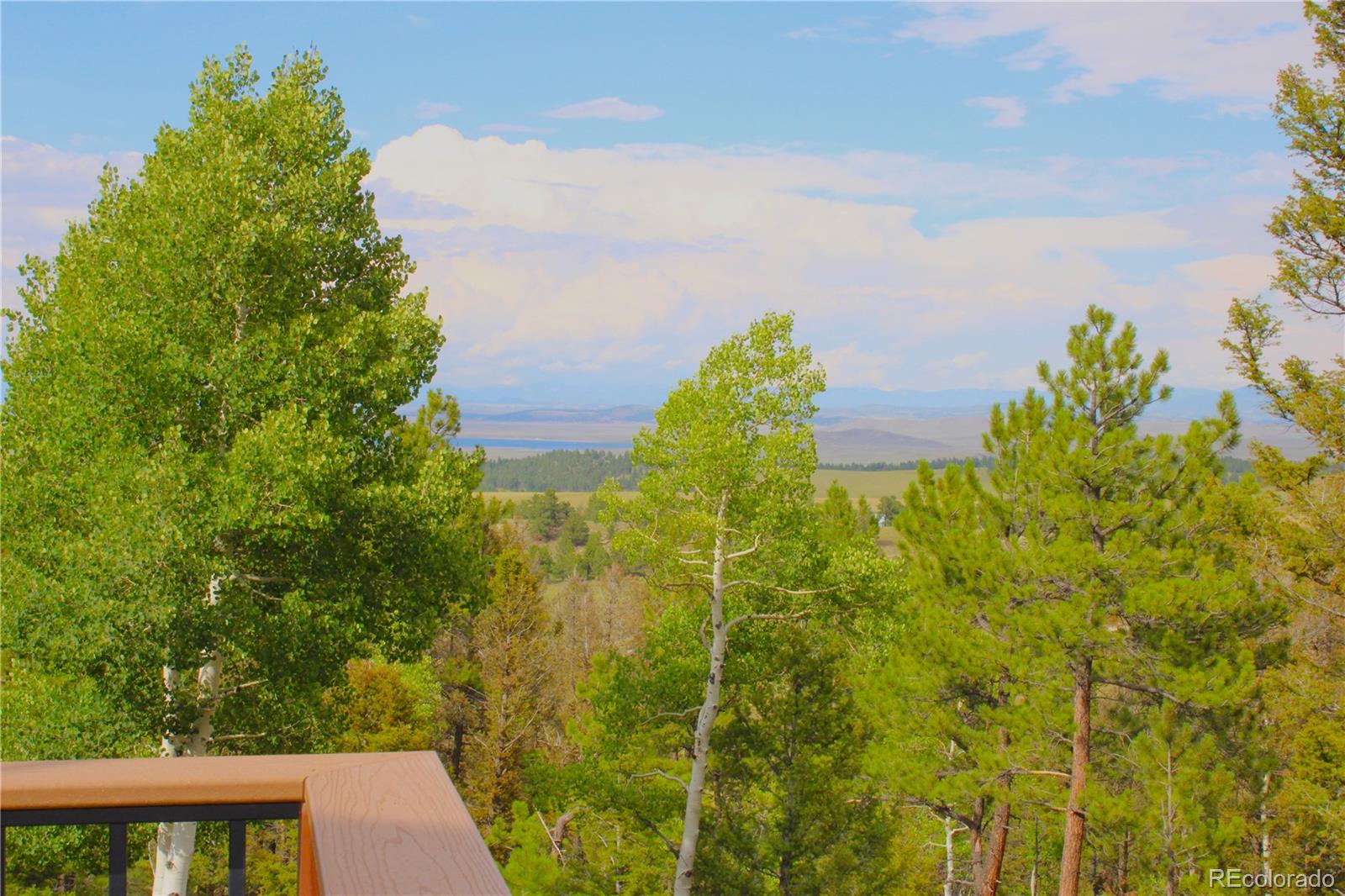 946 Singletree Road