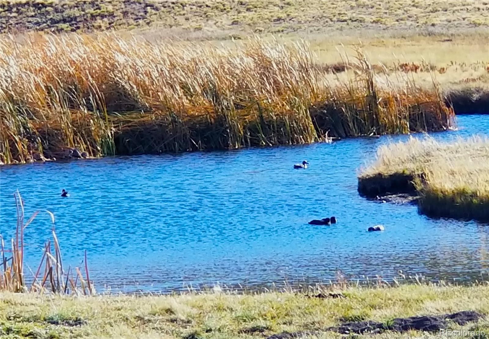 893 Rocky Mountain Road