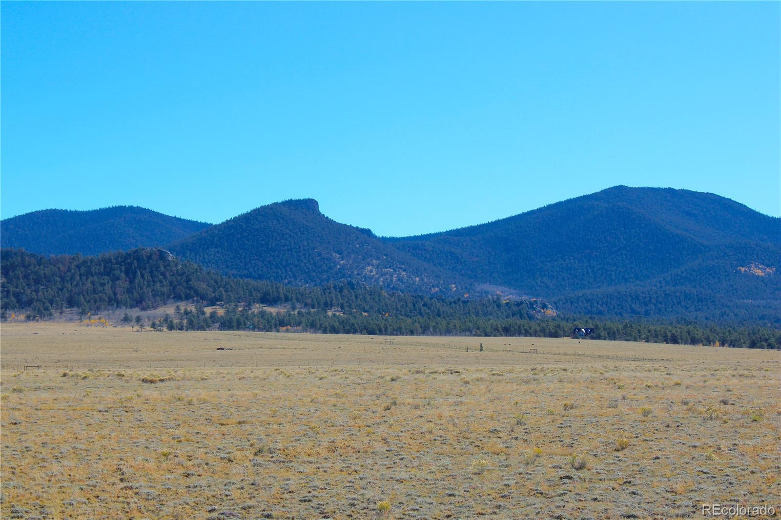 893 Rocky Mountain Road