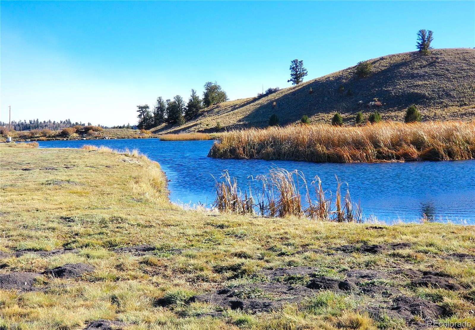 893 Rocky Mountain Road