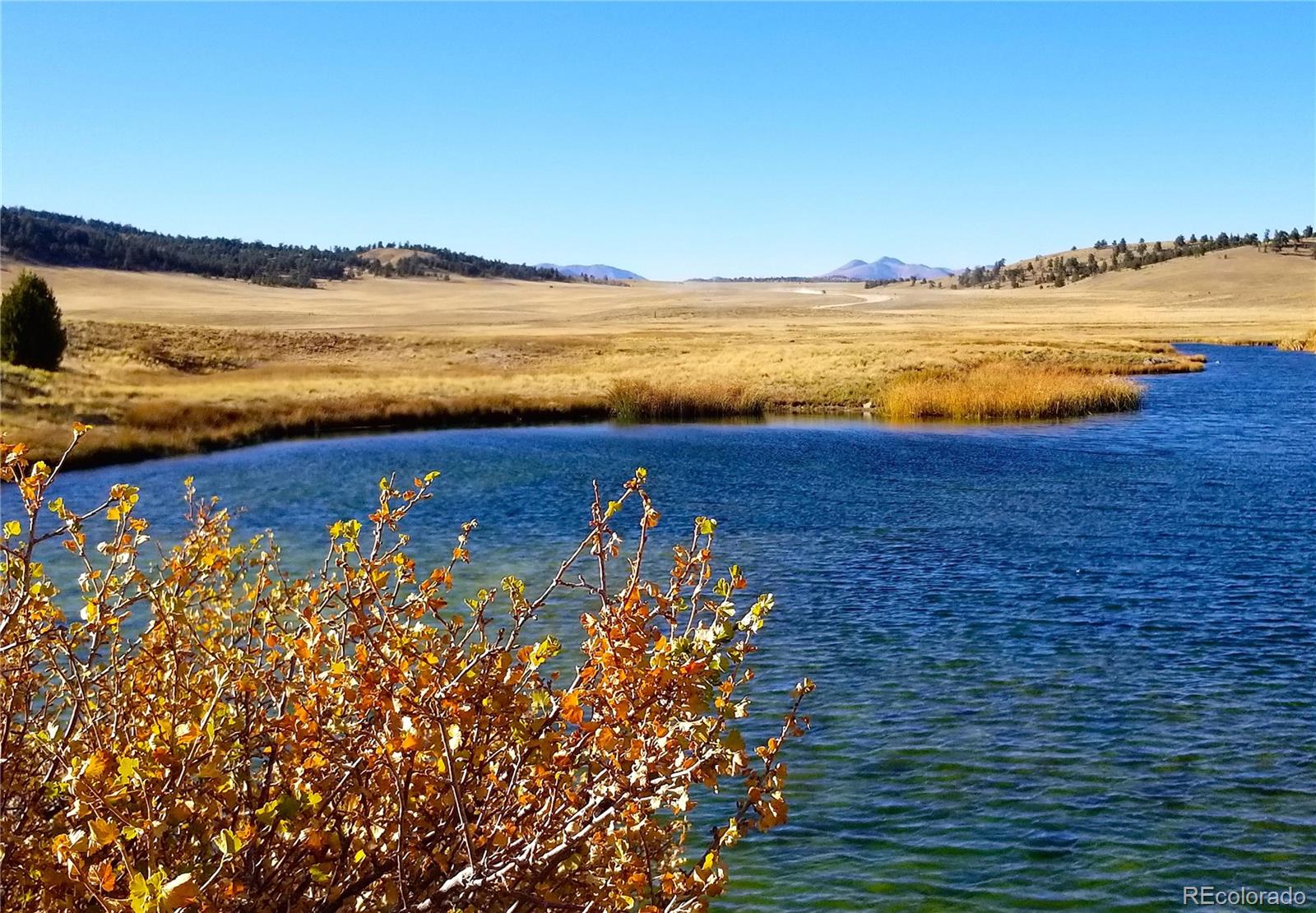 893 Rocky Mountain Road