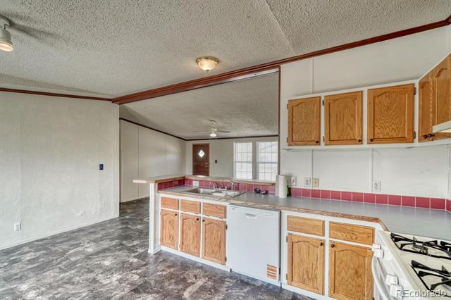 141 Connie Drive