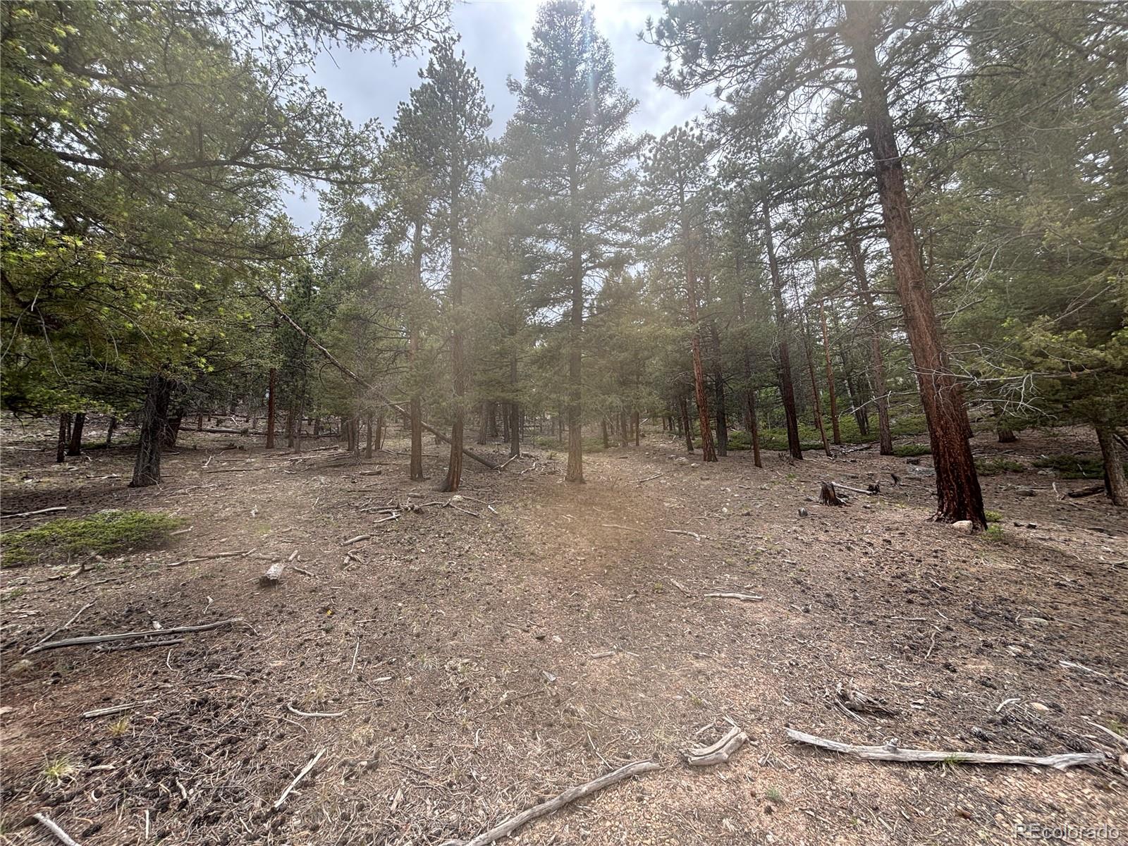 30304 Aspen Turn