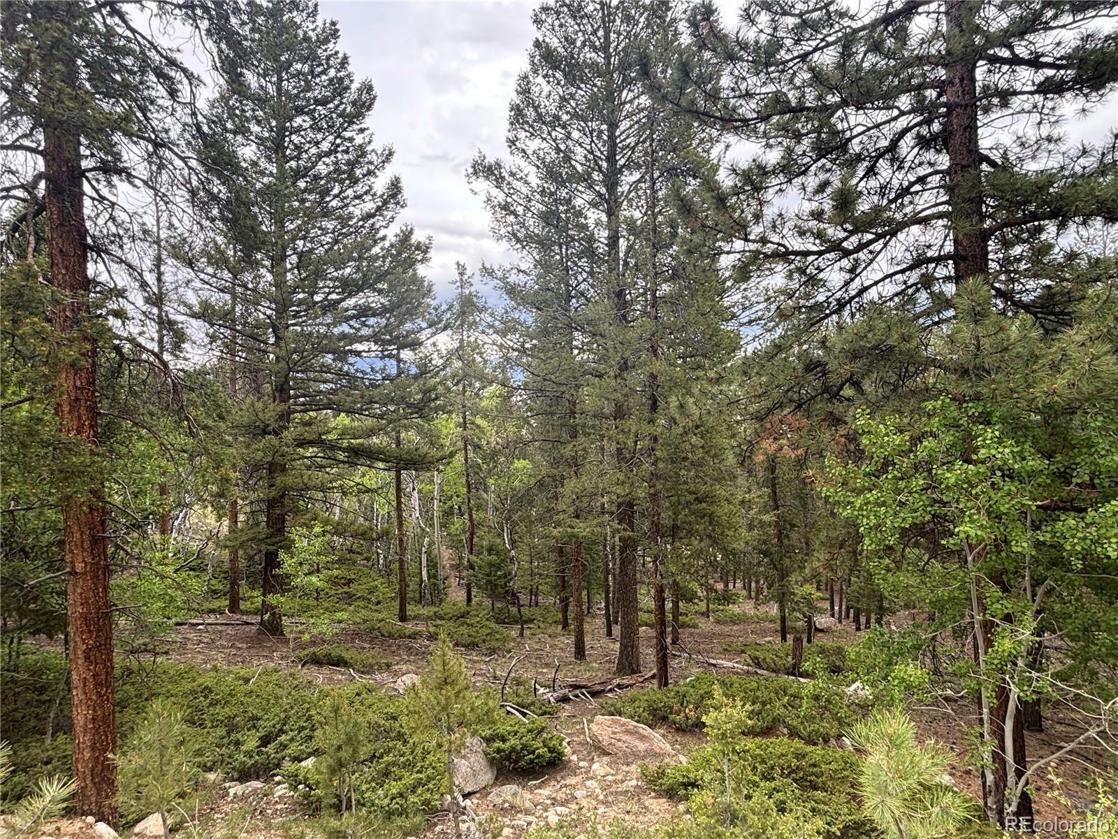 30304 Aspen Turn