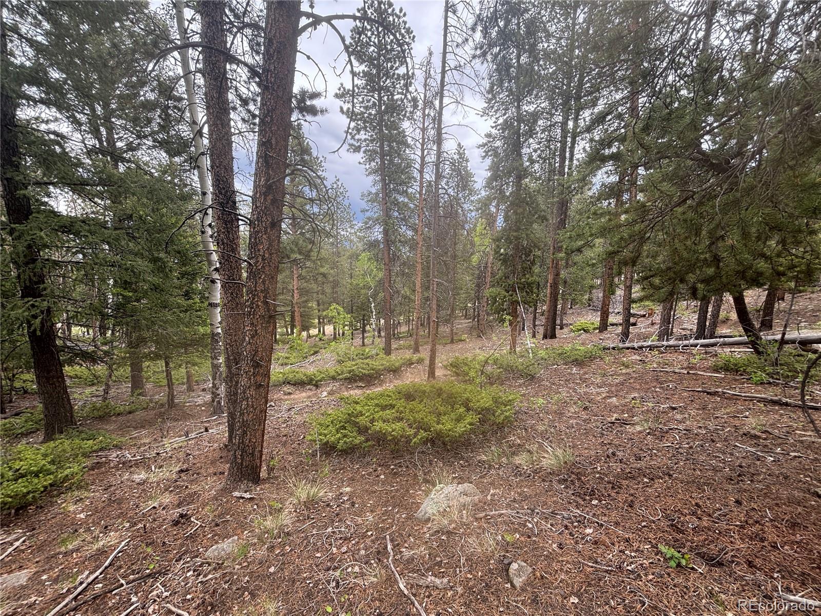 30304 Aspen Turn
