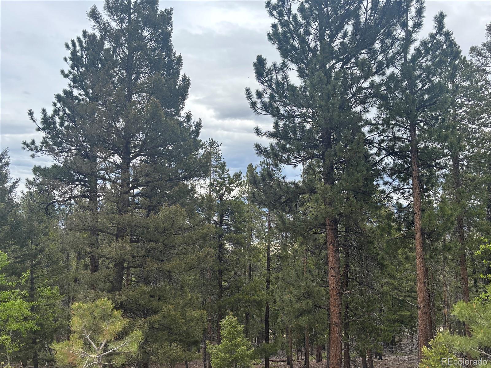 30304 Aspen Turn
