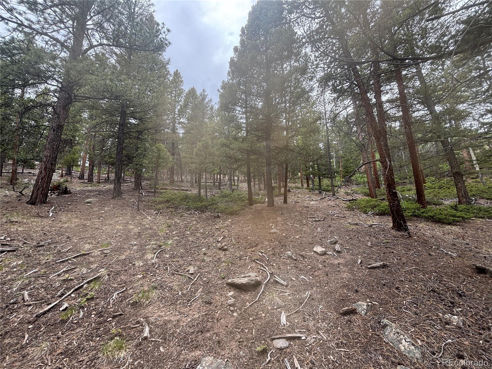 30304 Aspen Turn