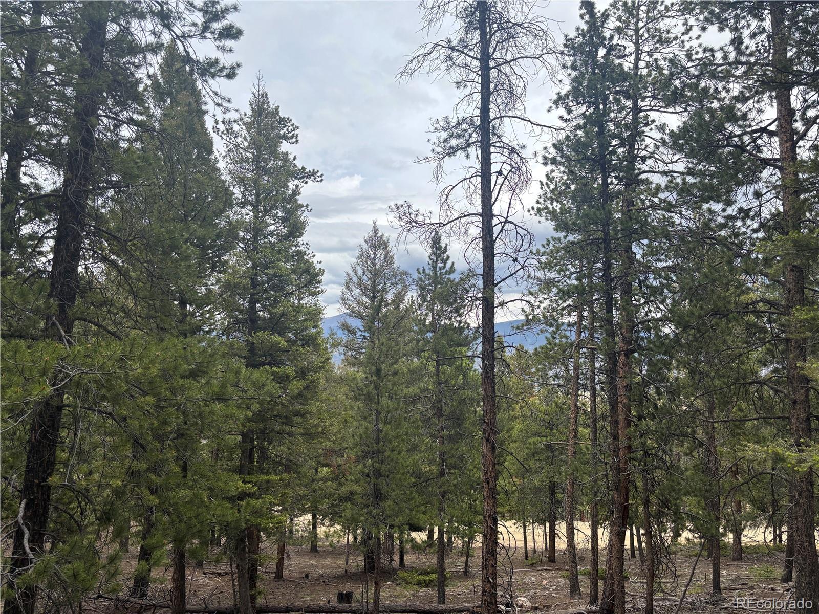 30304 Aspen Turn