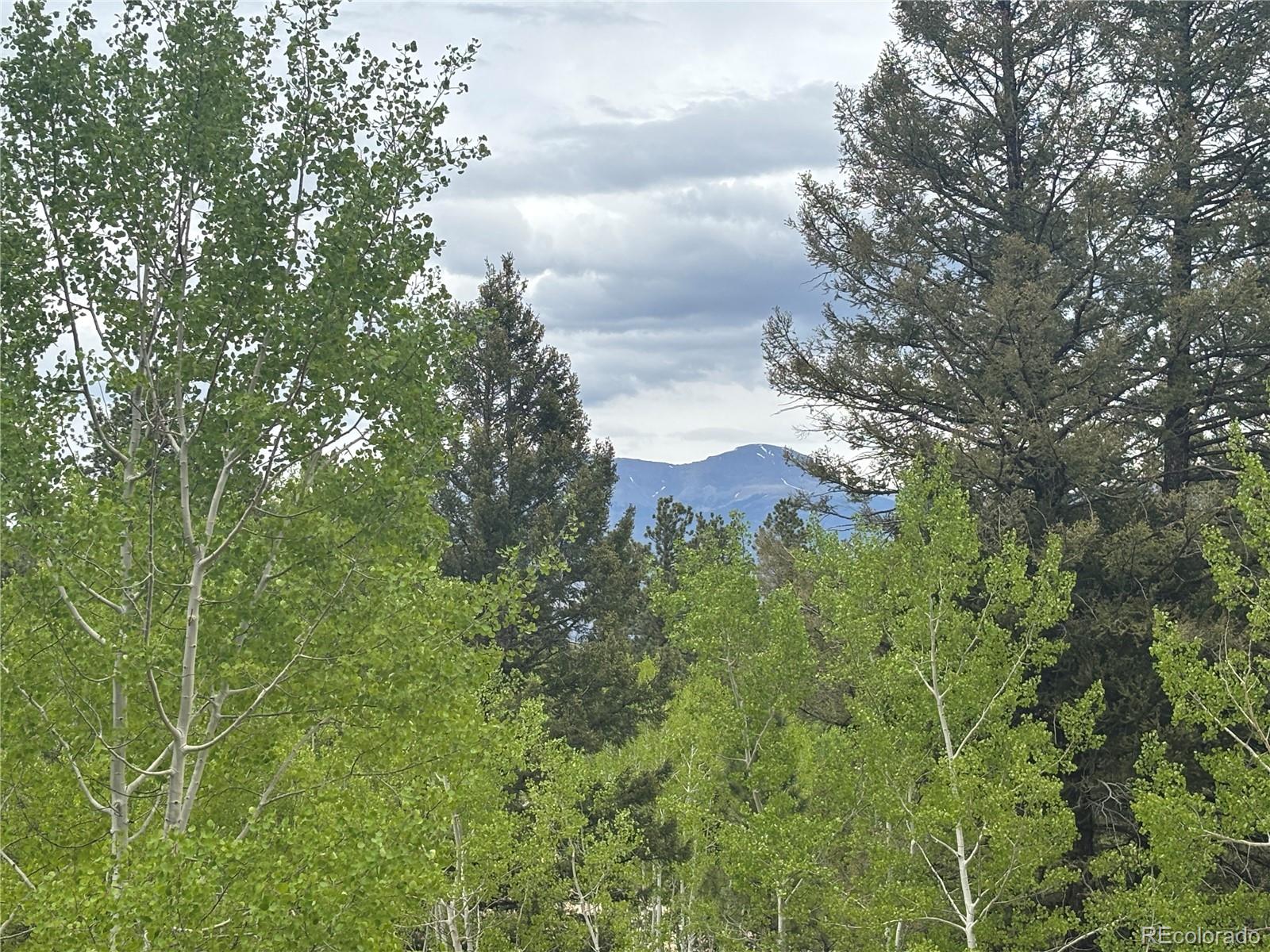 30304 Aspen Turn
