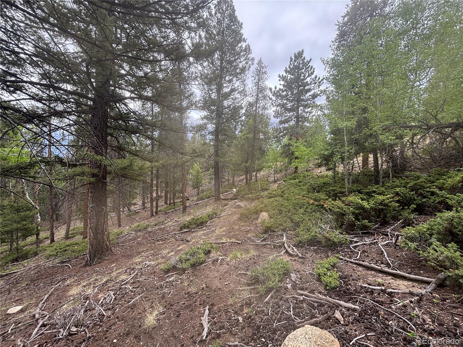 30304 Aspen Turn