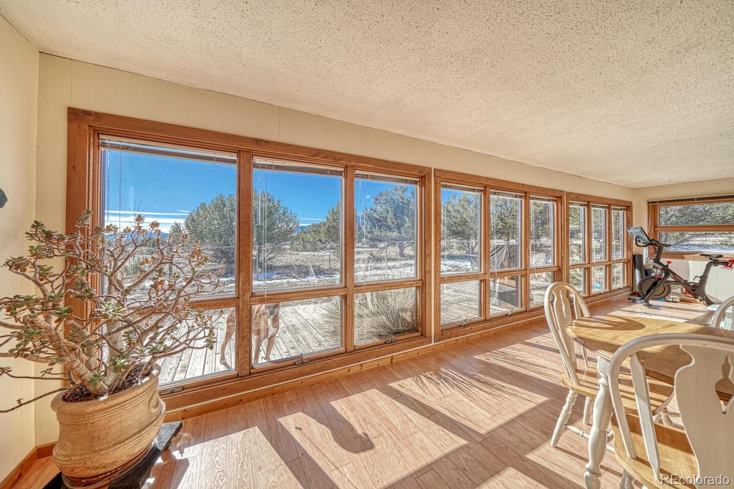 29315 County Road 359