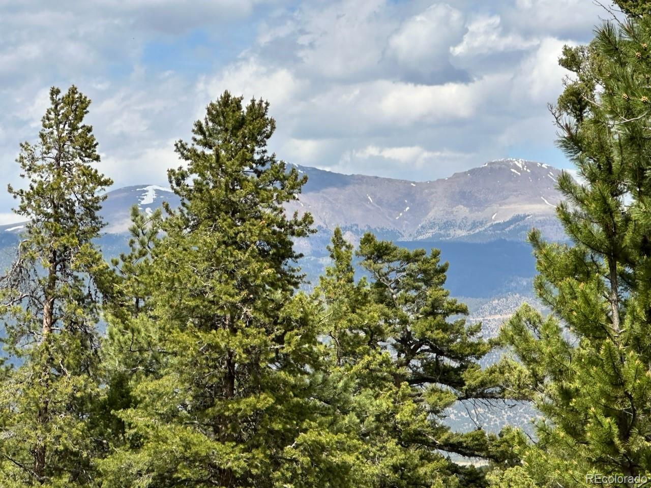 30385 National Forest Drive