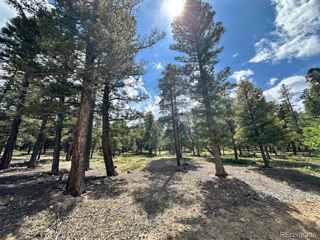 30385 National Forest Drive