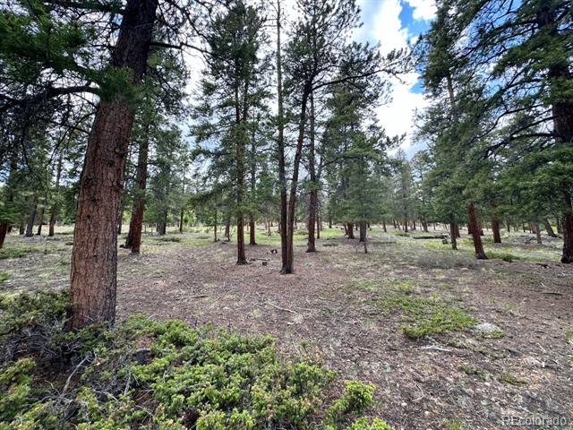 30385 National Forest Drive