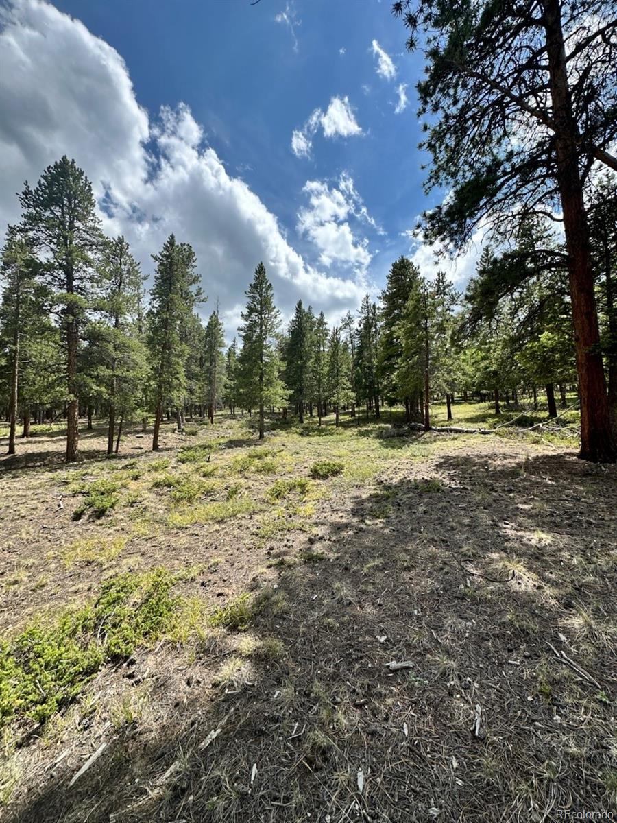 30385 National Forest Drive