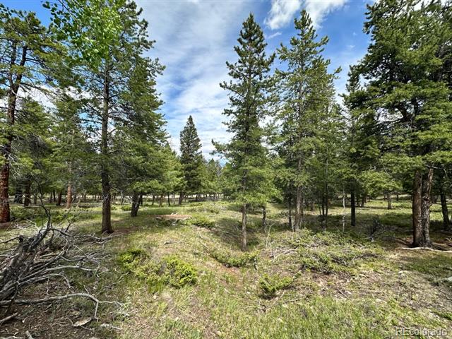 30385 National Forest Drive
