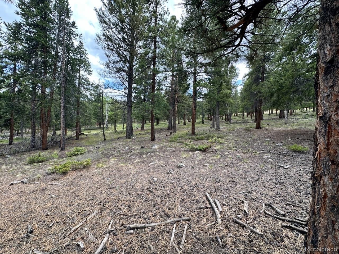 30385 National Forest Drive