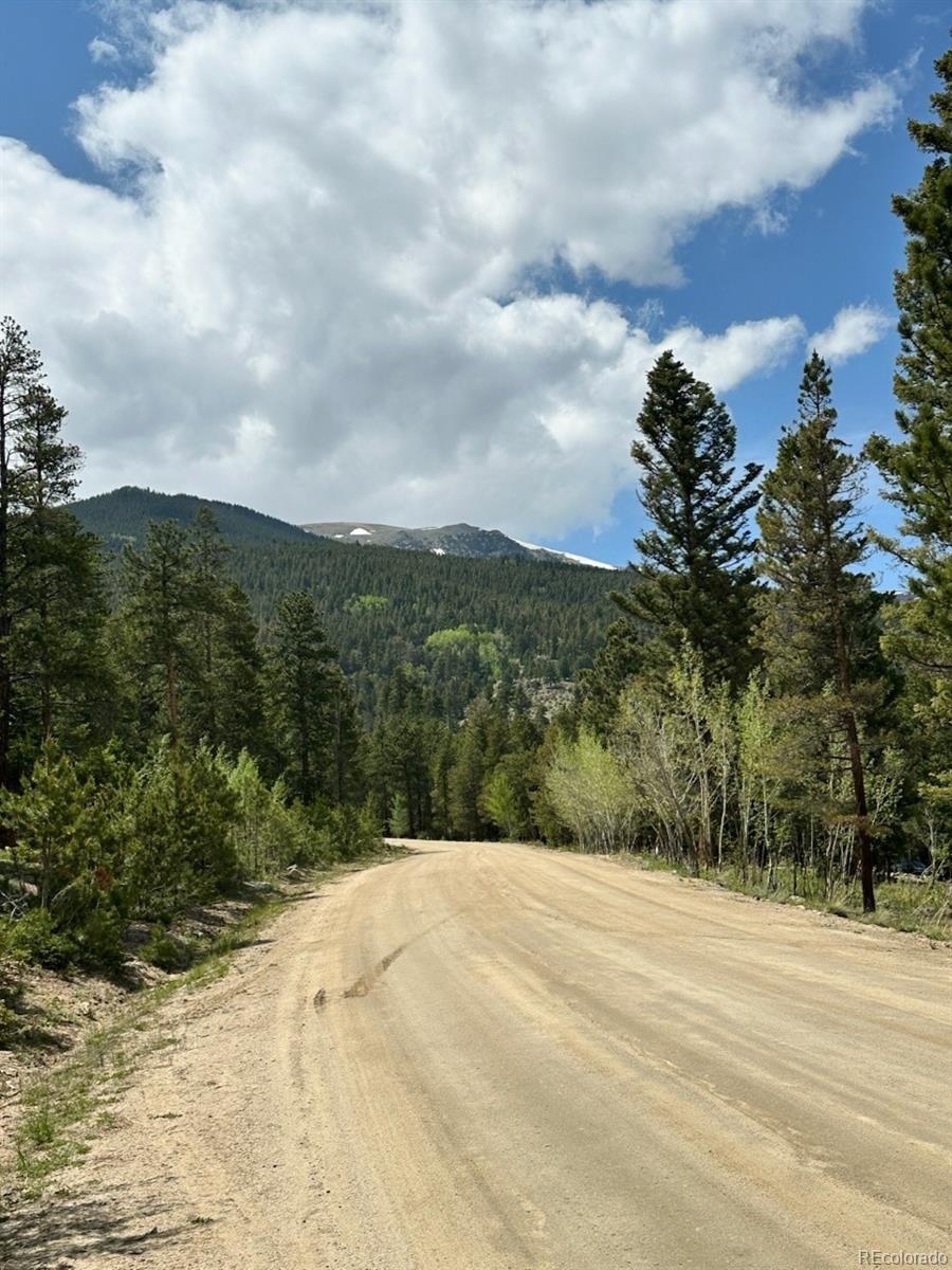 30385 National Forest Drive