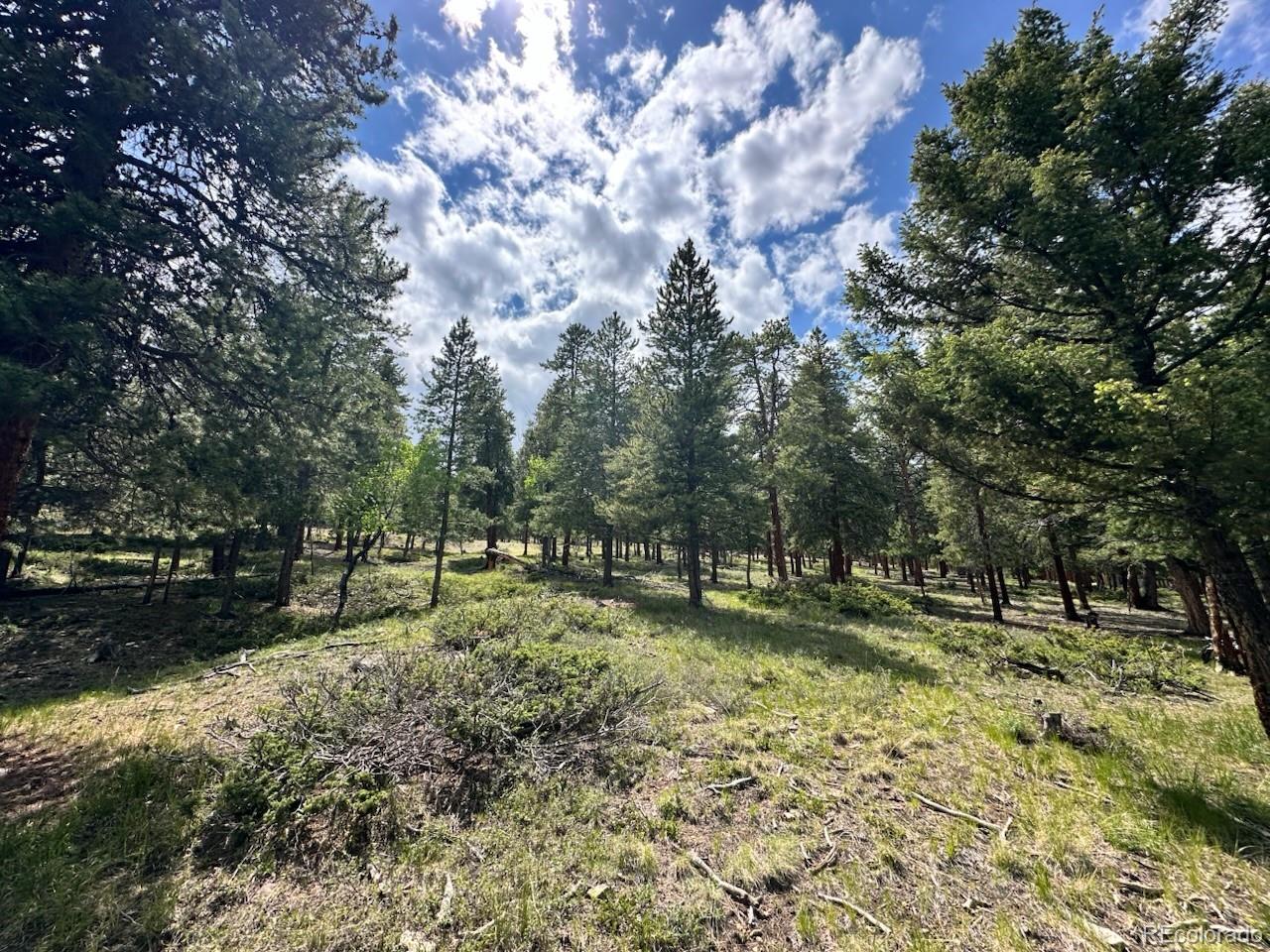30385 National Forest Drive