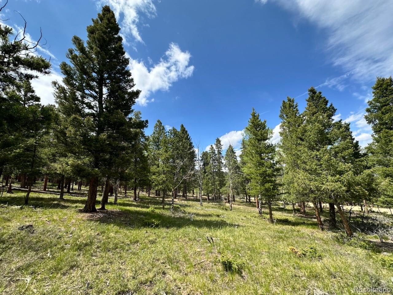 30385 National Forest Drive