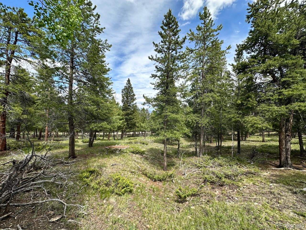 30385 National Forest Drive