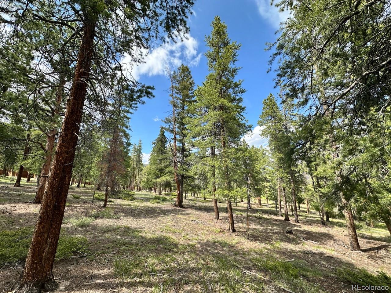 30385 National Forest Drive