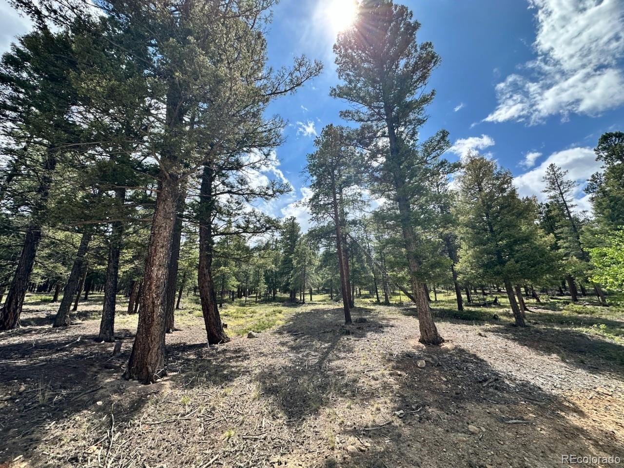 30385 National Forest Drive