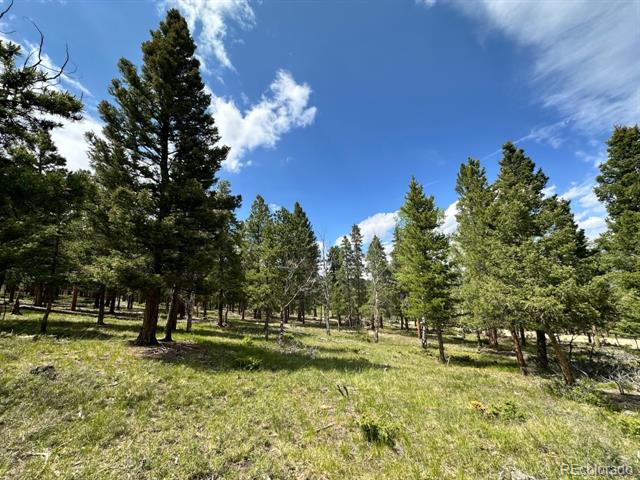30385 National Forest Drive