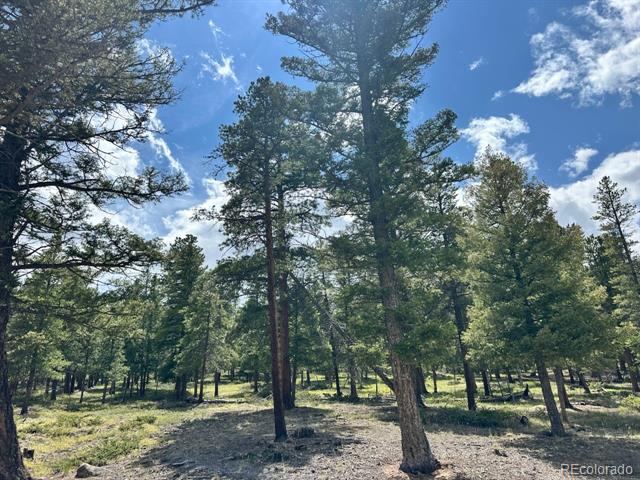 30385 National Forest Drive
