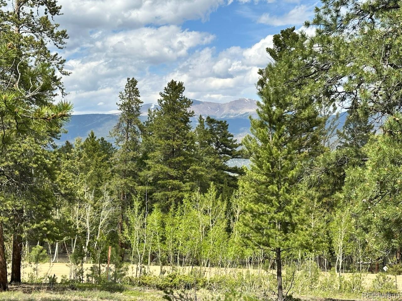 30385 National Forest Drive