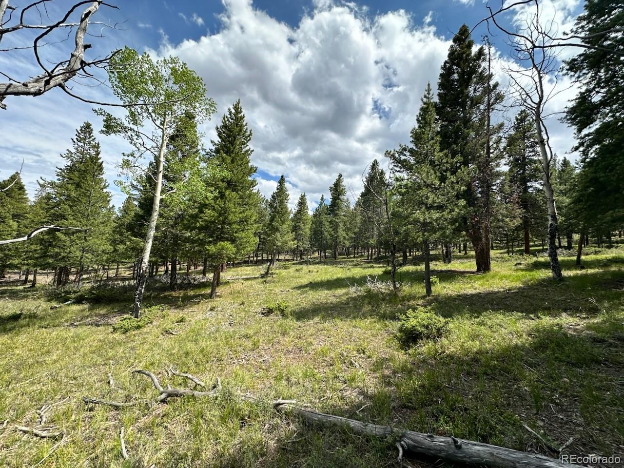 30385 National Forest Drive