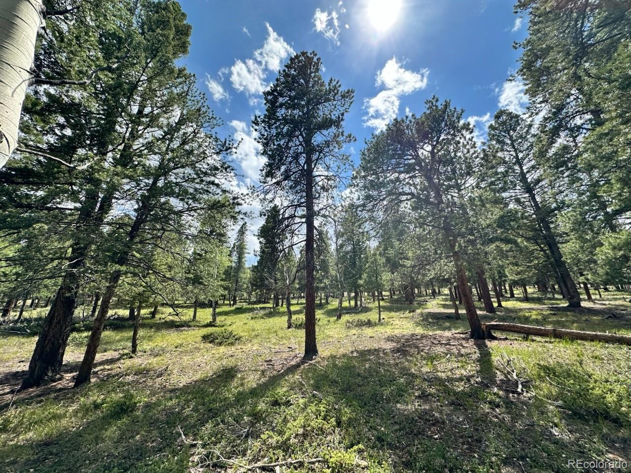 30385 National Forest Drive