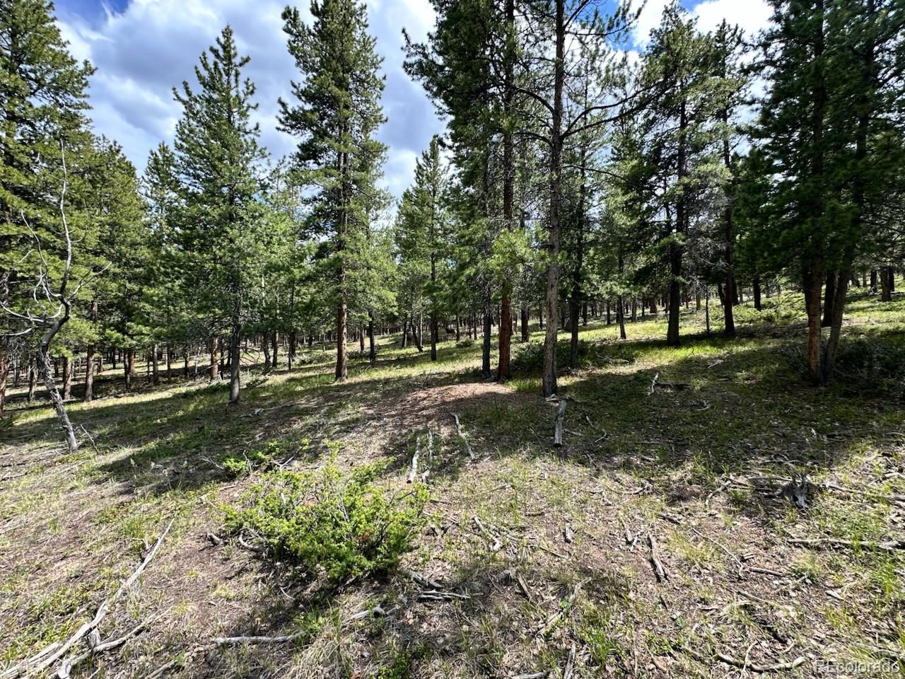 30385 National Forest Drive
