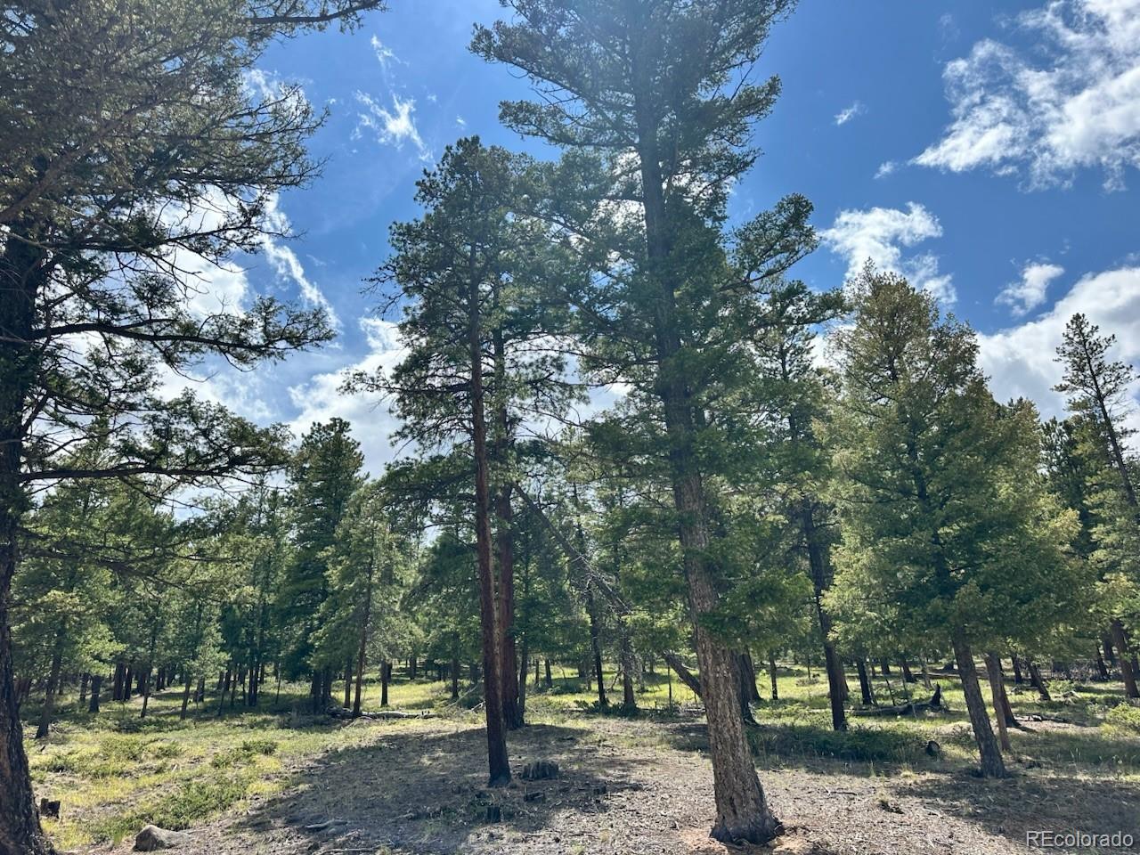 30385 National Forest Drive