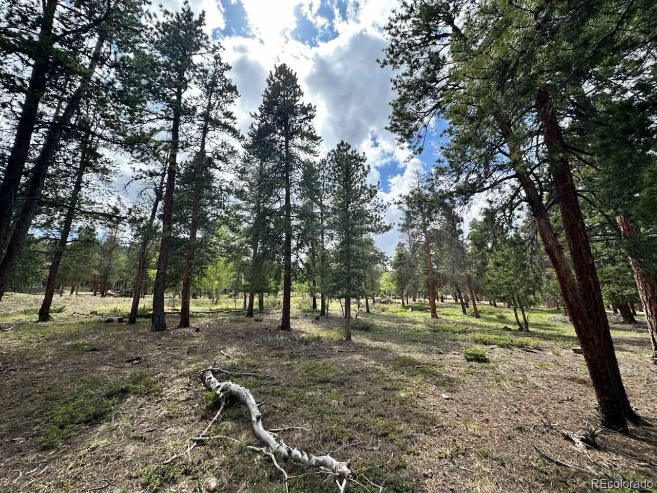 30385 National Forest Drive