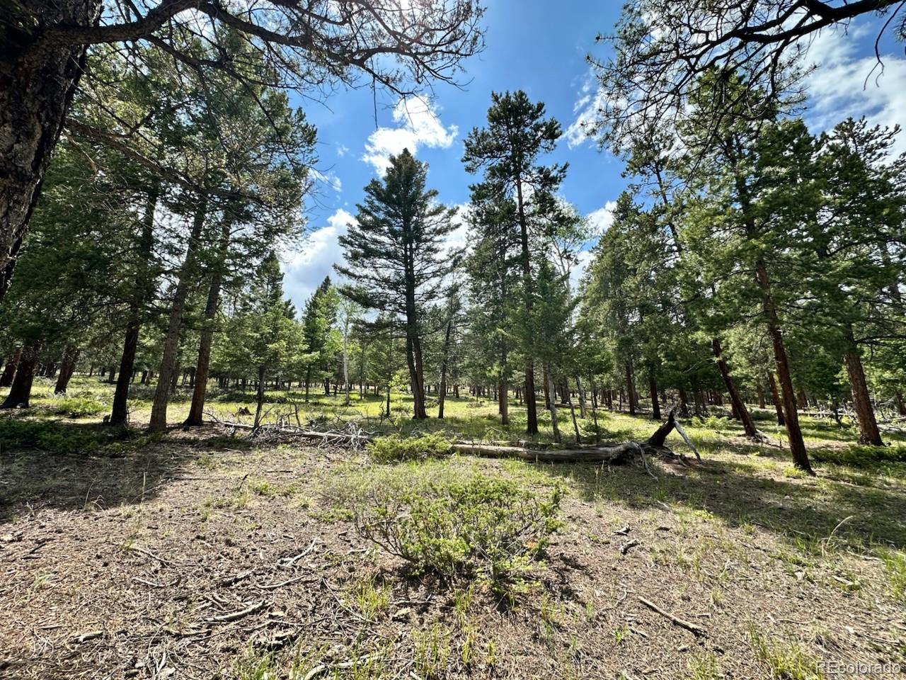 30385 National Forest Drive