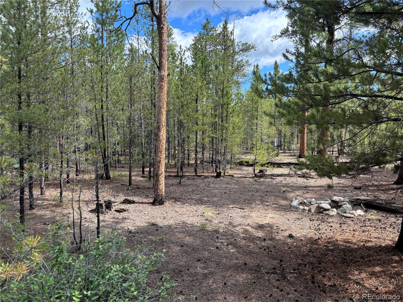 399 Fir Drive