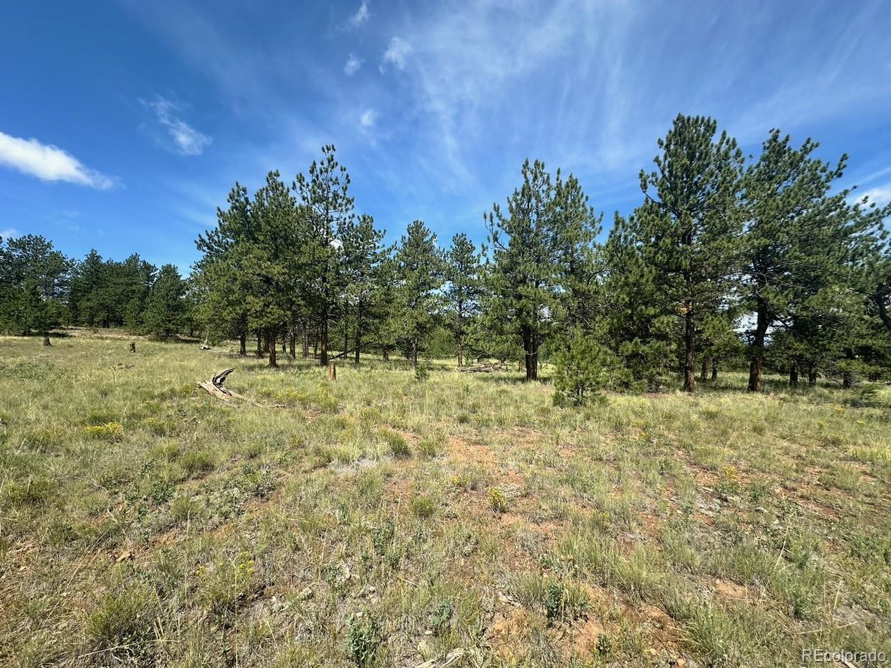 2743 Wagon Wheel Road