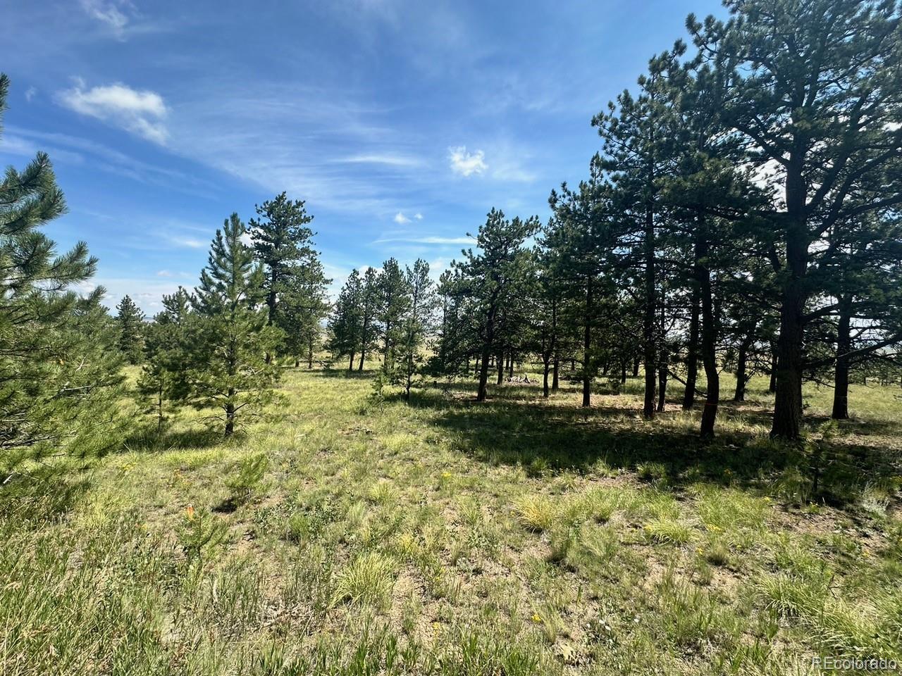 2743 Wagon Wheel Road