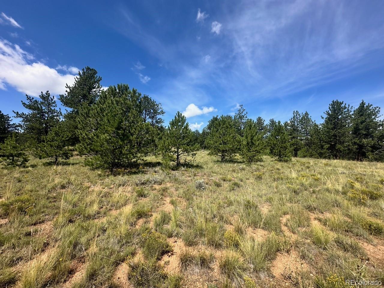 2743 Wagon Wheel Road