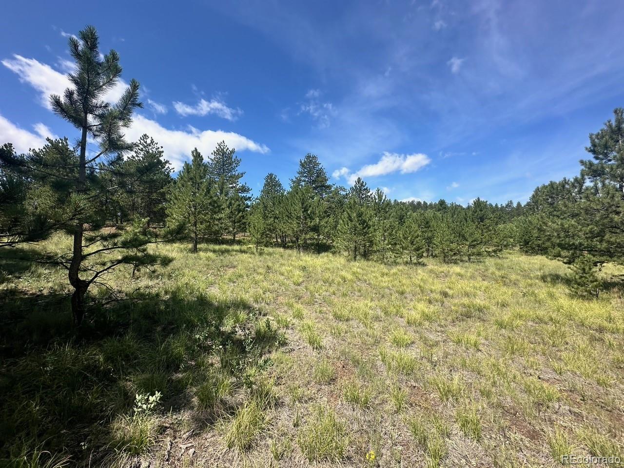 2743 Wagon Wheel Road