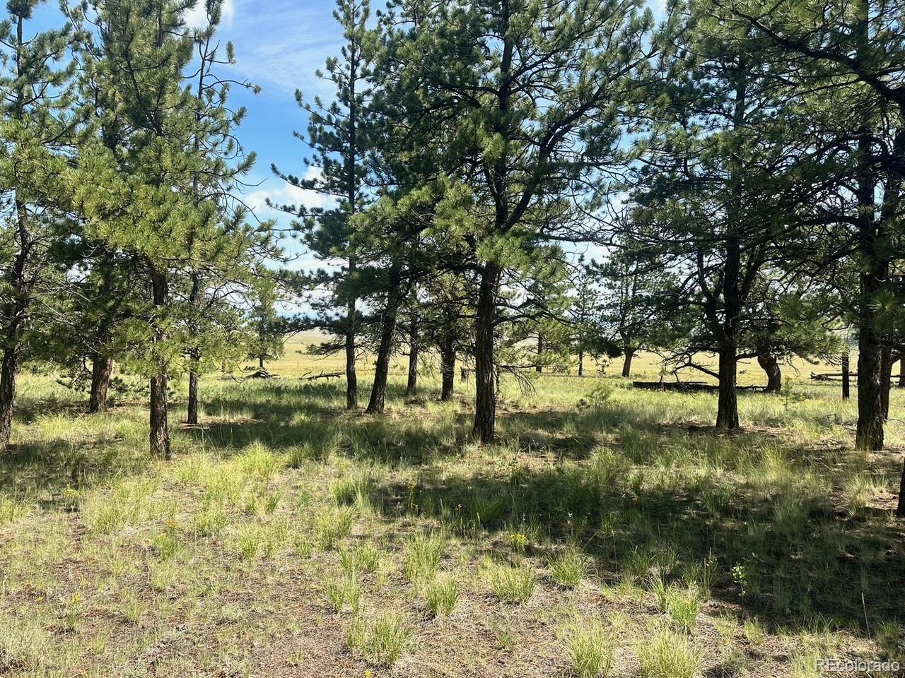 2743 Wagon Wheel Road