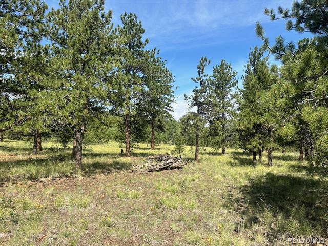 2743 Wagon Wheel Road