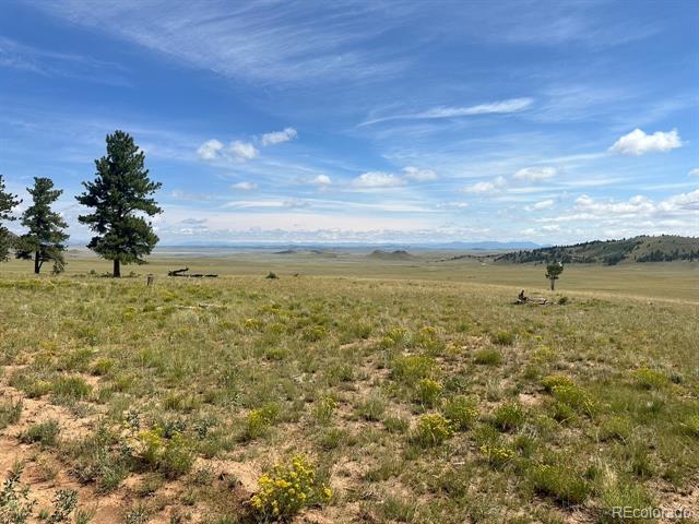 2743 Wagon Wheel Road